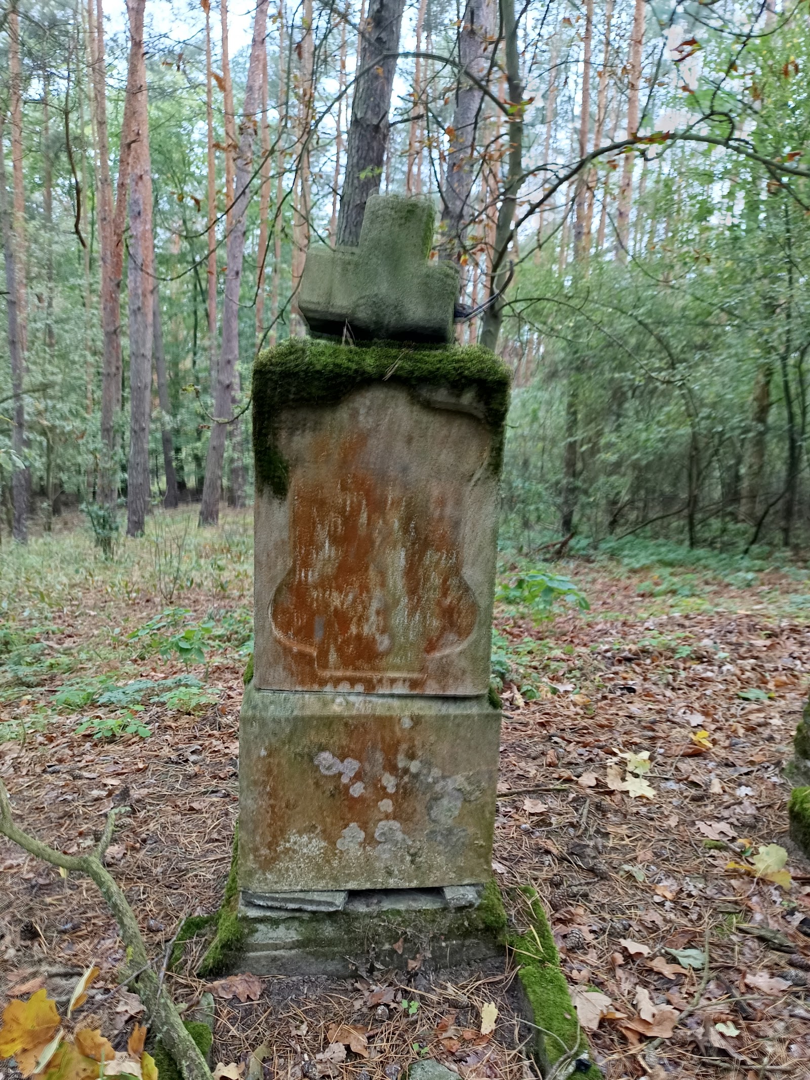 Leśny fragment cmentarza w Nowej Wsi–Śladowie